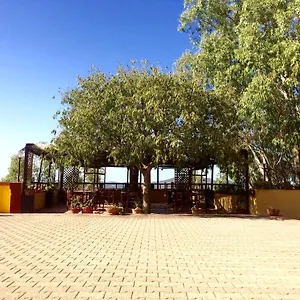 Agriturismo E Antica Fattoria Matteu Teulada